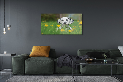 Tableaux sur verre Chien de prairie