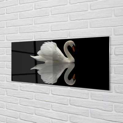 Tableaux sur verre Swan dans la nuit