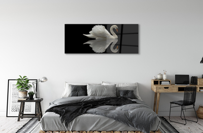 Tableaux sur verre Swan dans la nuit