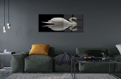 Tableaux sur verre Swan dans la nuit