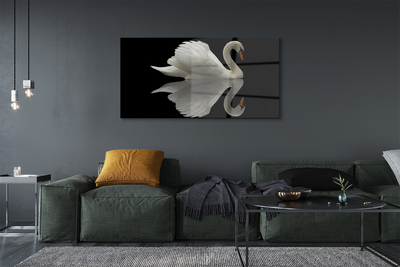 Tableaux sur verre Swan dans la nuit