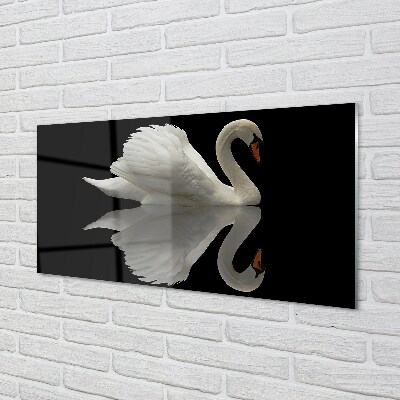 Tableaux sur verre Swan dans la nuit