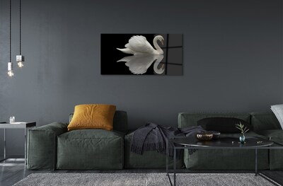 Tableaux sur verre Swan dans la nuit