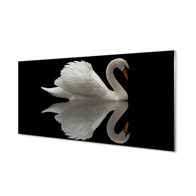 Tableaux sur verre Swan dans la nuit
