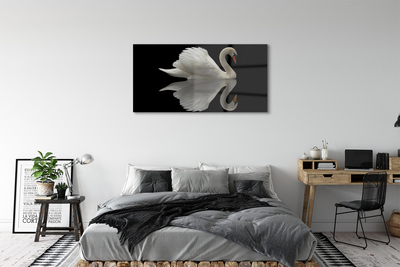 Tableaux sur verre Swan dans la nuit