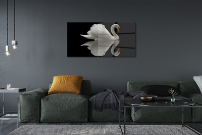 Tableaux sur verre Swan dans la nuit