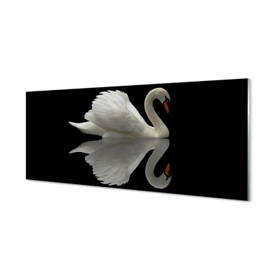 Tableaux sur verre Swan dans la nuit