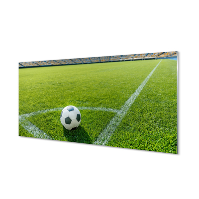 Tableaux sur verre Football herbe stade