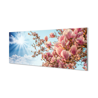 Tableaux sur verre Ciel soleil magnolia