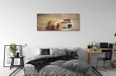 Tableaux sur verre Petit pain chien