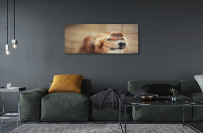 Tableaux sur verre Petit pain chien