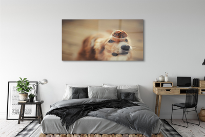 Tableaux sur verre Petit pain chien