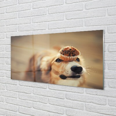 Tableaux sur verre Petit pain chien