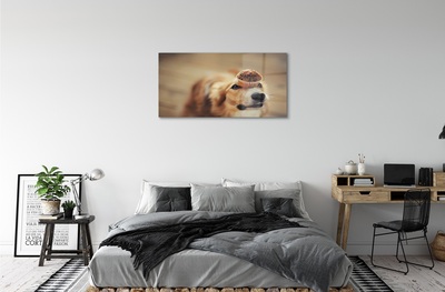 Tableaux sur verre Petit pain chien