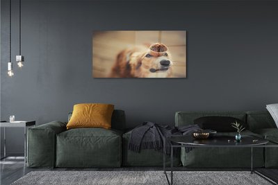 Tableaux sur verre Petit pain chien