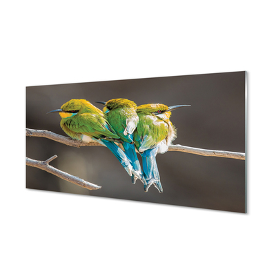 Tableaux sur verre Les oiseaux sur une branche