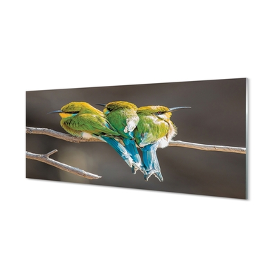 Tableaux sur verre Les oiseaux sur une branche
