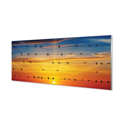Tableaux sur verre Oiseaux sur le coucher du soleil cordes