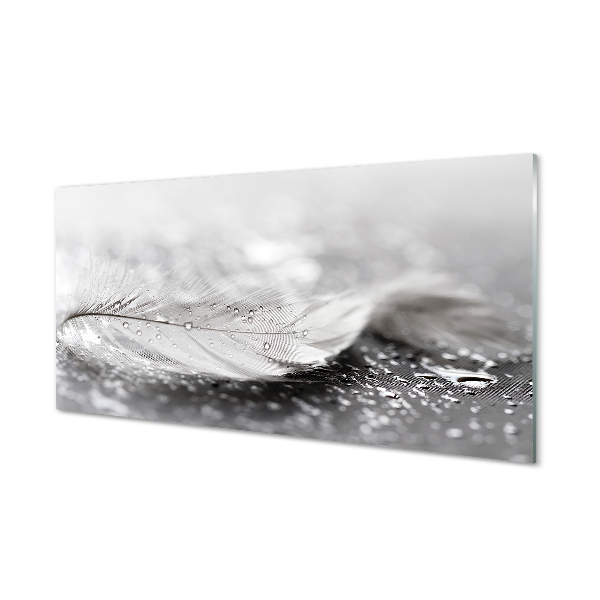 Tableaux sur verre Gouttes macro plume