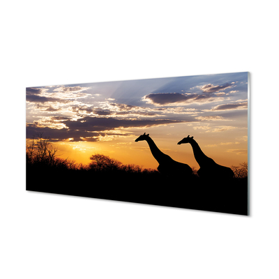 Tableaux sur verre Nuages ​​arbre girafes