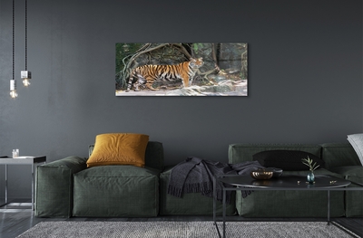 Tableaux sur verre Jungle tigre