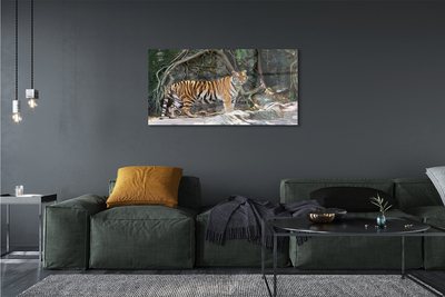 Tableaux sur verre Jungle tigre