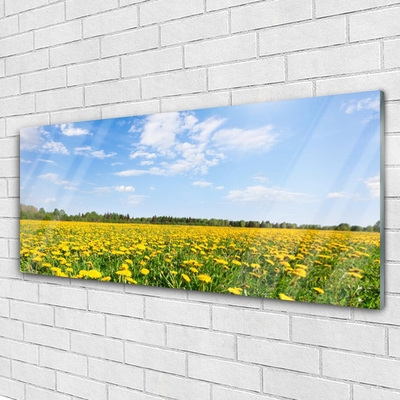 Image sur verre Tableau Pissenlit prairie fleurie paysage jaune bleu