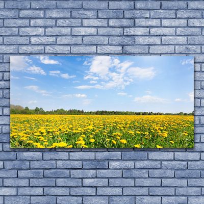 Image sur verre Tableau Pissenlit prairie fleurie paysage jaune bleu