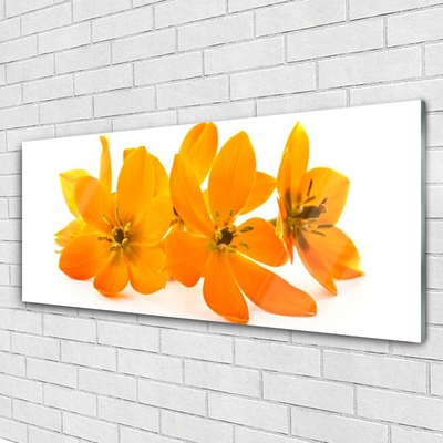 Image sur verre Tableau Fleurs floral orange