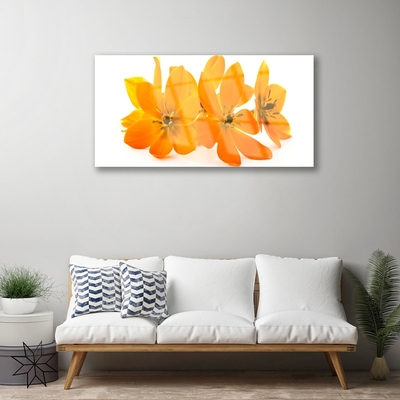 Image sur verre Tableau Fleurs floral orange