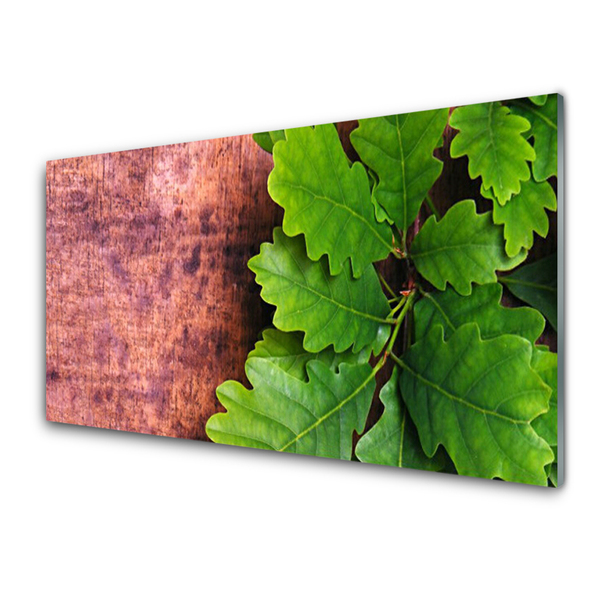 Image sur verre Tableau Feuilles chêne floral vert