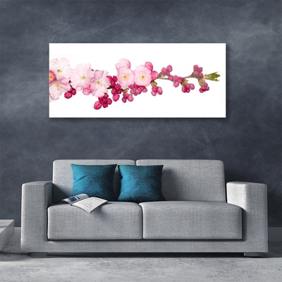 Image sur verre Tableau Fleurs branche floral rose