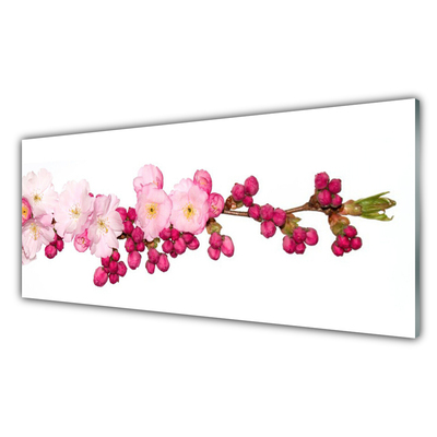 Image sur verre Tableau Fleurs branche floral rose