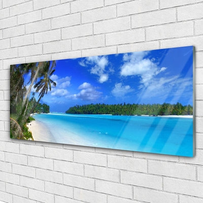 Image sur verre Tableau Palmes plage mer du sud paysage bleu vert