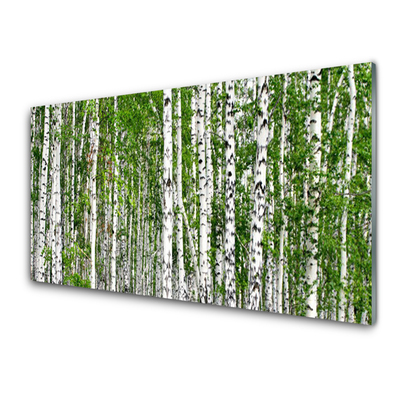 Image sur verre Tableau Bouleau forêt arbres nature vert blanc