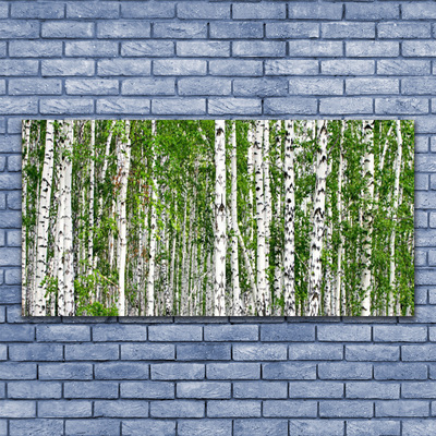 Image sur verre Tableau Bouleau forêt arbres nature vert blanc