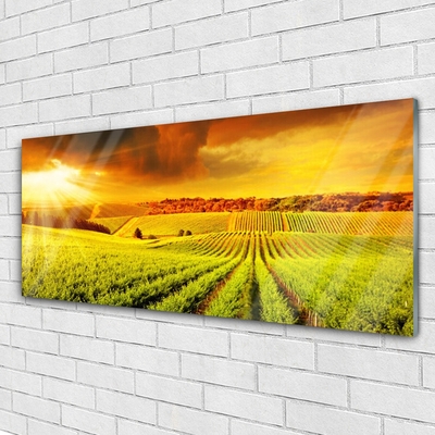 Image sur verre Tableau Champ coucher du soleil paysage vert jaune