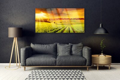 Image sur verre Tableau Champ coucher du soleil paysage vert jaune