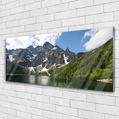 Image sur verre Tableau Montagne lac forêt paysage vert bleu blanc gris