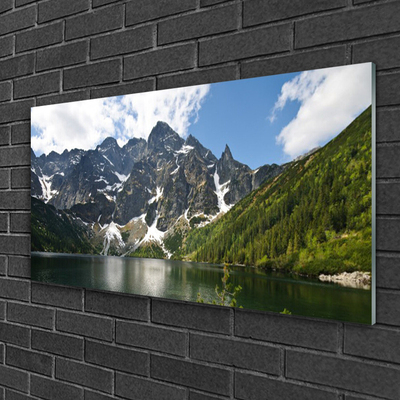 Image sur verre Tableau Montagne lac forêt paysage vert bleu blanc gris