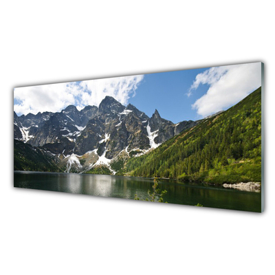 Image sur verre Tableau Montagne lac forêt paysage vert bleu blanc gris