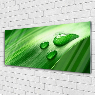 Image sur verre Tableau Feuille eau gouttes floral vert