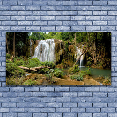 Image sur verre Tableau Chute d'eau rivière forêt nature vert brun