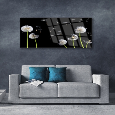 Image sur verre Tableau Pissenlits floral noir vert blanc