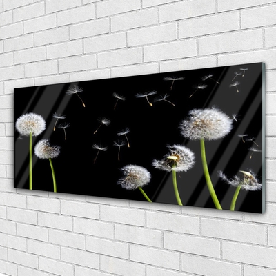 Image sur verre Tableau Pissenlits floral noir vert blanc