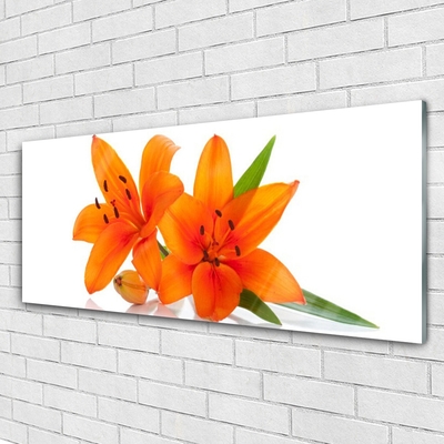 Image sur verre Tableau Fleurs floral orange vert blanc