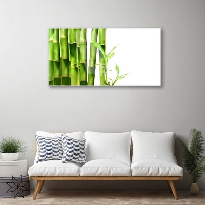 Image sur verre Tableau Bambou floral vert blanc