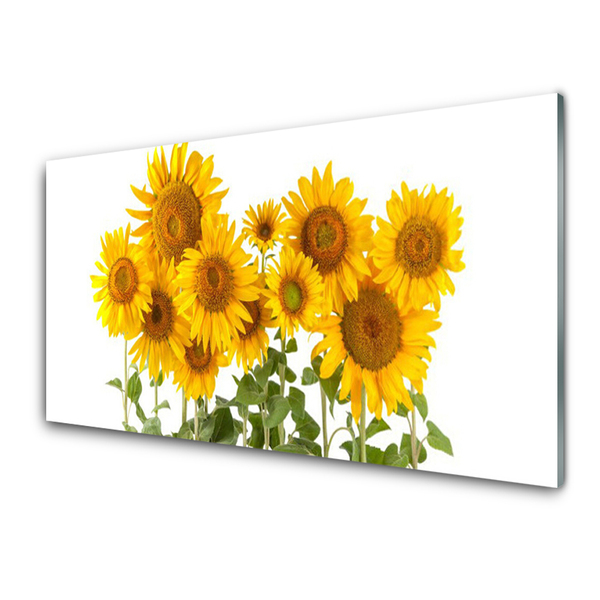 Image sur verre Tableau Tournesols floral jaune or vert