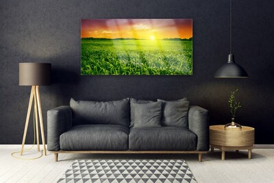 Image sur verre Tableau Champ de blé lever du soleil floral vert rouge