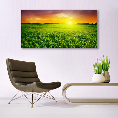 Image sur verre Tableau Champ de blé lever du soleil floral vert rouge
